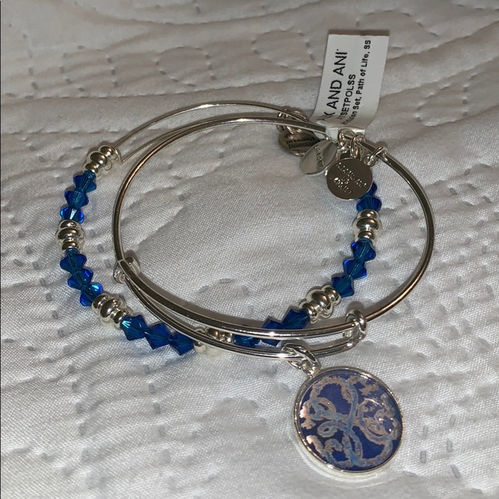 Alex and Ani Path of Life Infusion Set